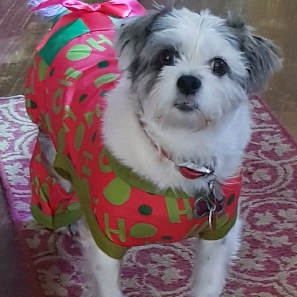 Meet your Posher, Mickey - Picture 1 of 1